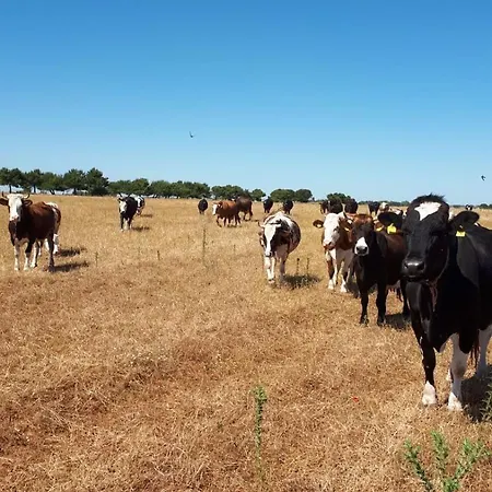 Masseria La Fica Séjour à la ferme