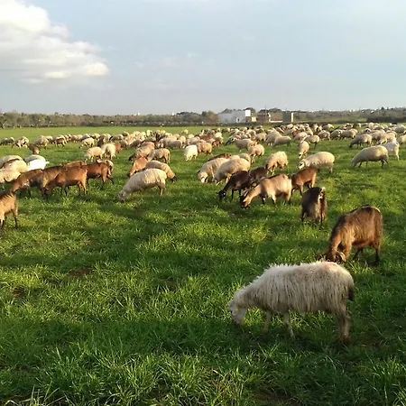 Séjour à la ferme Masseria La Fica Galatina