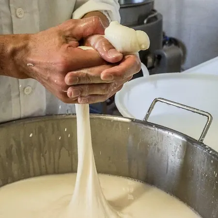Masseria La Fica