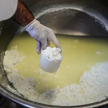 Séjour à la ferme Masseria La Fica *
